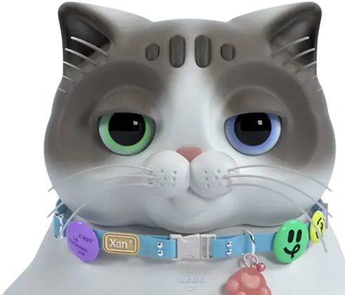 Warrior Cat Character